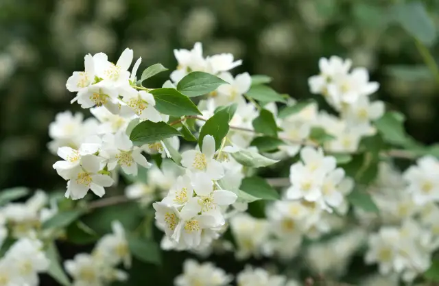 Otrdien mazināsies vēja brāzmas un spīdēs saule