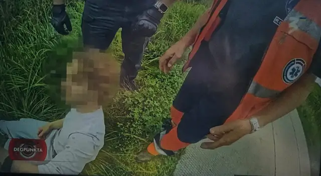 Упал в траву и нюхал цветочки: польский дальнобойщик в Латвии поймал нетрезвого водителя