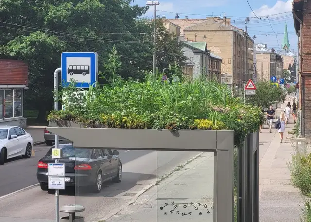 Здесь будет город-сад! Зеленые крыши и городские луга в Риге: для кого все это? (ФОТО)