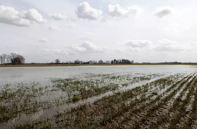 «Вода не уходит быстро»: мощные ливни разорили Талсинский край (ВИДЕО)