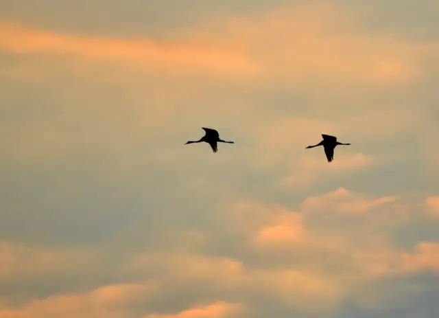 Nedēļas vidū gaidāma meteoroloģiskā rudens sākšanās