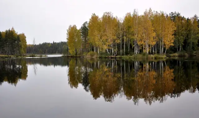 Septembra izskaņa Latvijā nāks ar rudenīgāku laiku un pirmajām salnām