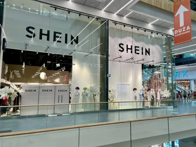 Франция требует блокировки Shein. За секс-кукол, напоминающих детей