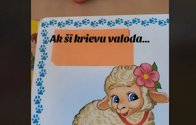 Piketā aptuveni 30 cilvēku prasa nodrošināt mācības krievu valodā