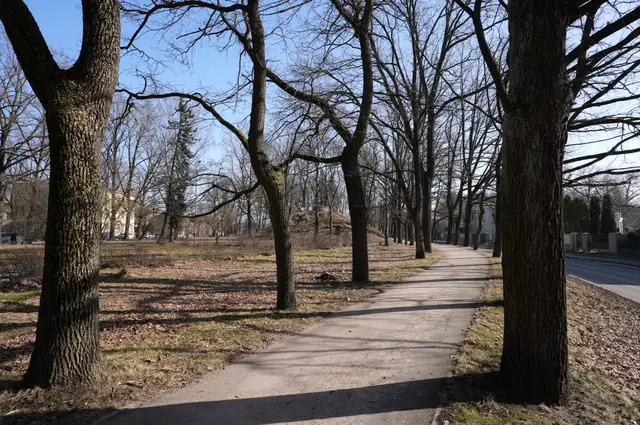 Piektdien pastiprināsies vējš un spīdēs saule
