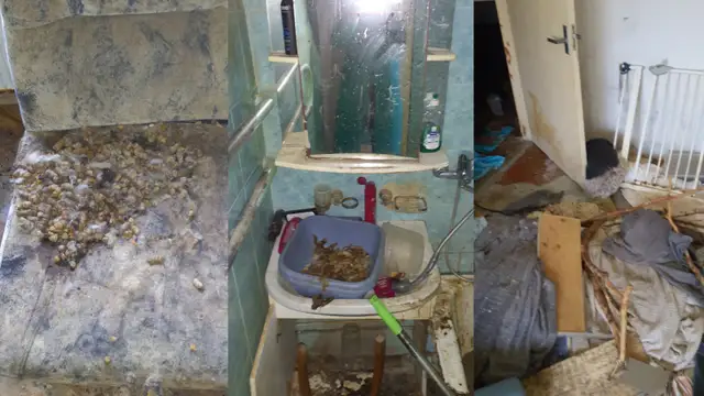В Иманте полиция обнаружила квартиру с десятками истощенных животных