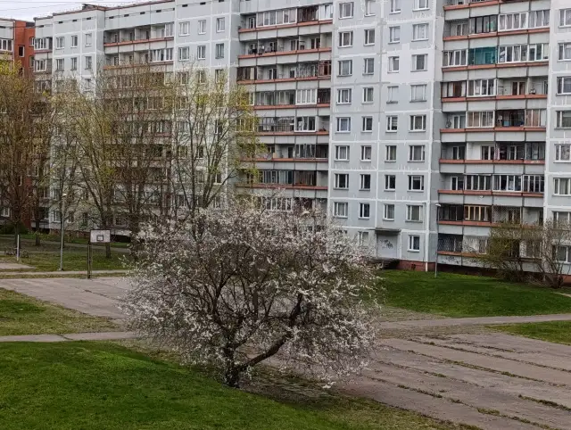 Brīvdienas būs vasarīgi siltas, vietām īslaicīgi līs un dārdēs pērkons