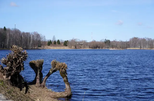 Gaisa temperatūra ceturtdien nepārsniegs +8 grādus