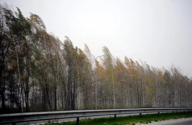 Trešdien gaidāms mākoņaināks un mierīgāks laiks