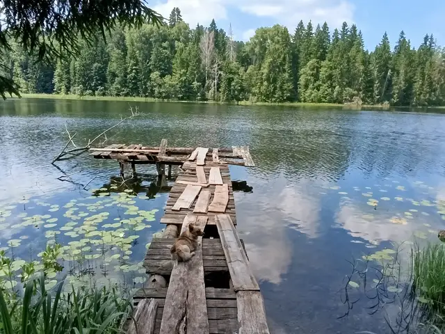 Jaunnedēļ kļūs sausāks un siltāks