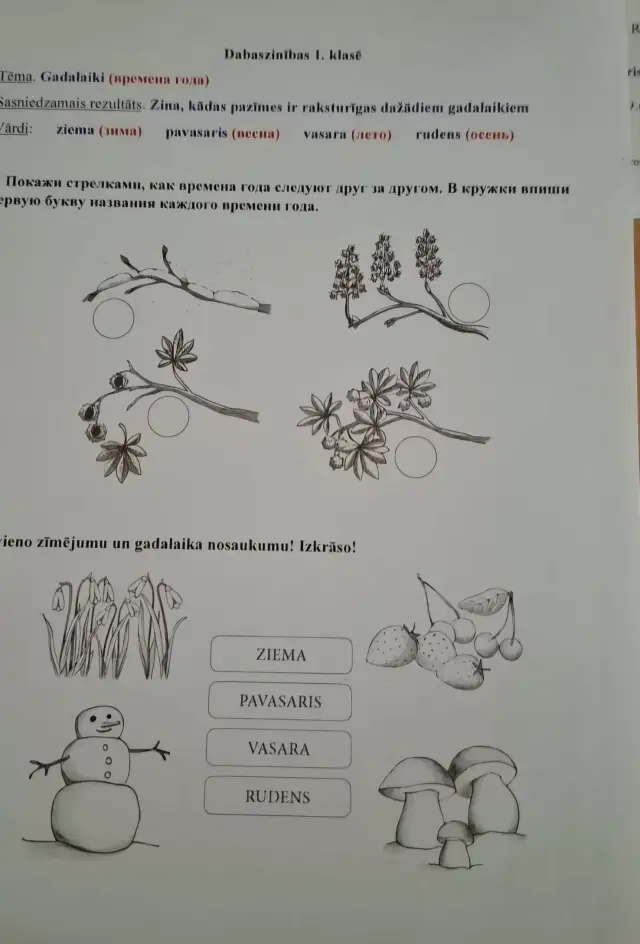 «А как латышским детям выполнять задание?» В Threads разгорелся спор из-за русского текста в школьной работе