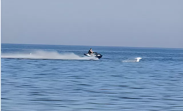Герои в Рое: удалец на водном мотоцикле проехался лебедям по головам. А если бы там был пловец? (ВИДЕО)