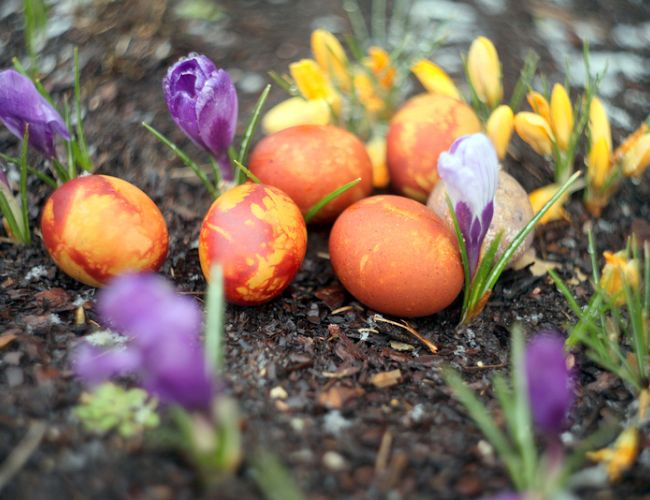 Lieldienās Latvijā kļūs nedaudz siltāks, bet iespējami nokrišņi