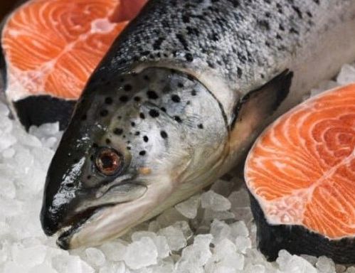 Чем опасна лососина балтийская и норвежская: шведы предупреждают покупателей