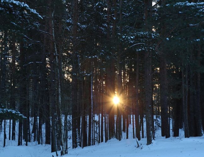 Sestdiena Latvijā gaidāma saulaina
