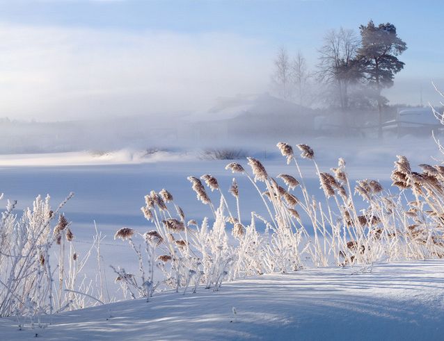 Сегодняшнее утро в Латвии — самое холодное за последние два года