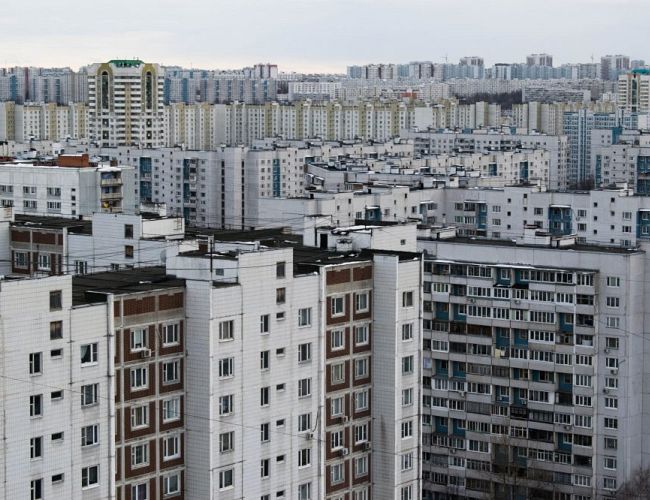 Когда соседи — свиньи: жители рижских многоэтажек в шоке друг от друга