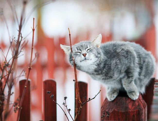 В Латгале завтра наступит лето — а как в остальных местах? Прогноз на 1 мая