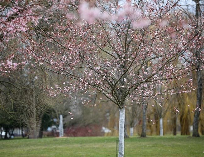 Май обещает быть теплее нормы: резко потеплеет уже с пятницы