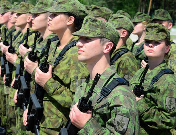 Альтернативный план обороны: начались военные учения „Твердыня Пяркунаса» в Литве