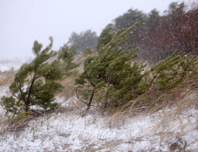 На Латвию идёт снежная буря: обновлённый прогноз на выходные