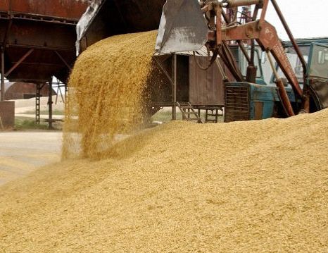 Krievijas graudaugu tranzīts caur Latviju pirmajā ceturksnī pieaudzis 2,7 reizes