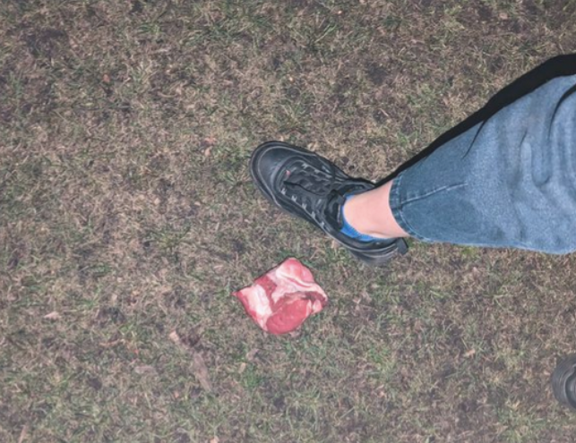 «Последствий избежать не получится»: в Иманте появился отравитель собак (ФОТО)