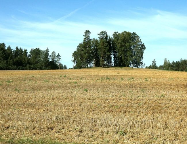 Lauksaimnieki: Vasarāju sējas darbi Latvijas reģionos rit atšķirīgā tempā