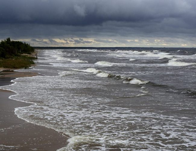 Жёлтое предупреждение: синоптики прогнозируют сильный ветер на побережье