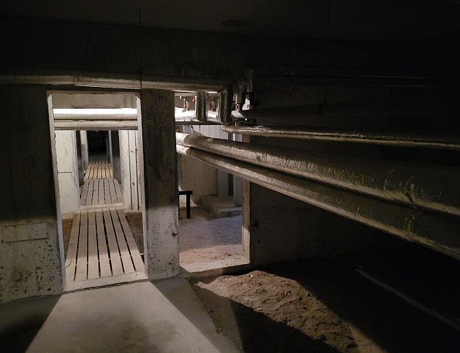 Всех спасать — денег не хватит: латвийцам предлагают самим думать о безопасности