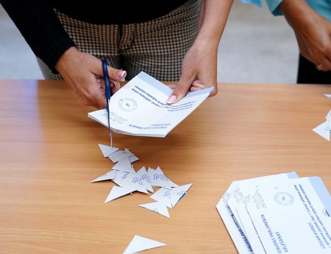 Скандал в ЦИК: обнаружилась фиктивная сотрудница, помогавшая мужу не платить алименты