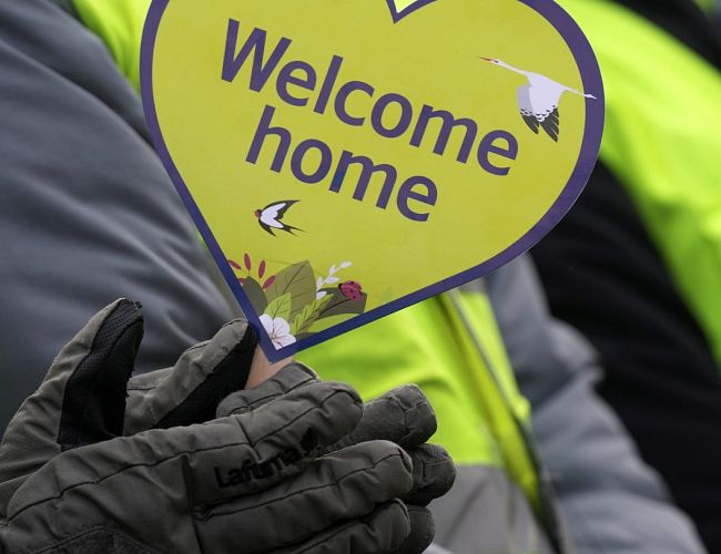 Наша многострадальная отчизна снова в проторях — очередные 30 млн. на airBaltic