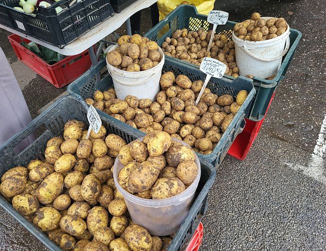 Фермеры предупреждают: дешёвой картошки больше не будет
