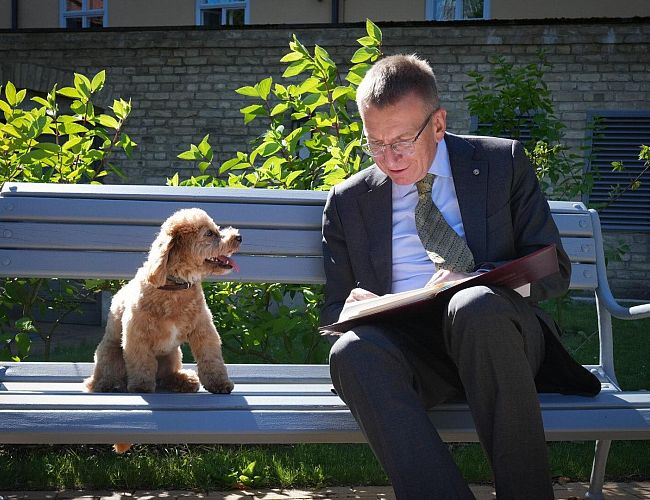 Облигации, деньги на счетах и 2 квартиры: доходы Ринкевича за прошлый год