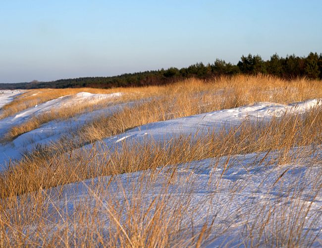 А неплохо! Суббота с морозцем и солнцем