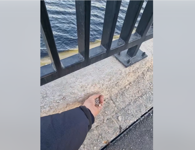 Не тот бетон залили: «сенсационные» итоги расследования халтуры на променаде Мукусалас