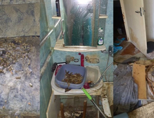 В Иманте полиция обнаружила квартиру с десятками истощенных животных