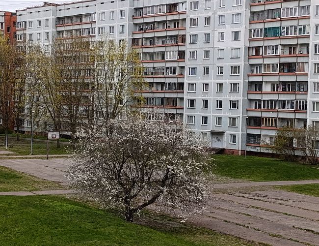 К Латвии подходит тёплый атмосферный фронт: что будет?