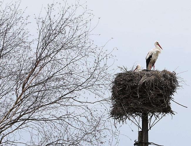 На Латвию идёт мощный циклон: погода на неделю