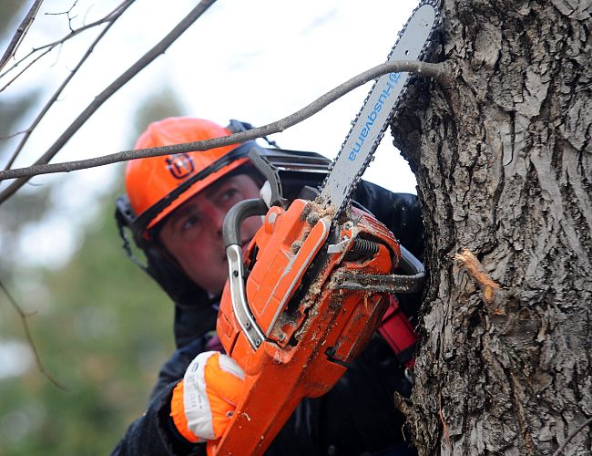 На литовской границе распилили машину контрабандиста: что нашли?