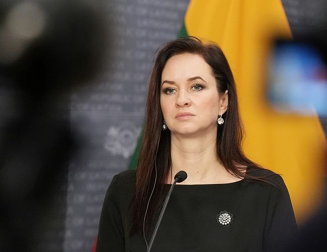 Премьер Литвы опровергла слова Киева о намеренном направлении Россией украинских дронов на Балтию