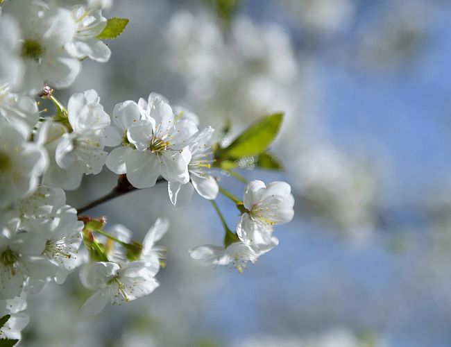 Pirmo reizi šajā gadā gaisa temperatūra Latvijā pakāpusies virs +20 grādiem