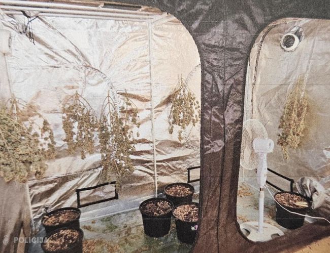 Дом на траве. Комната, палатка и килограмм марихуаны: полиция пришла в дом под Елгавой