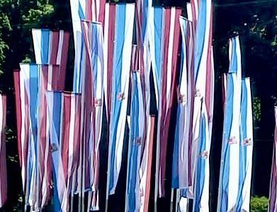 «Объединили Ригу с Латвией — получилась Россия»: рижане недовольны тем, как украсили город