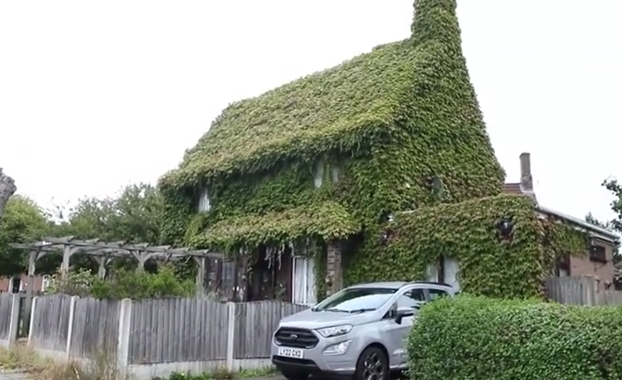 Зеленая крыша только в Норвегии? А вот и нет!
