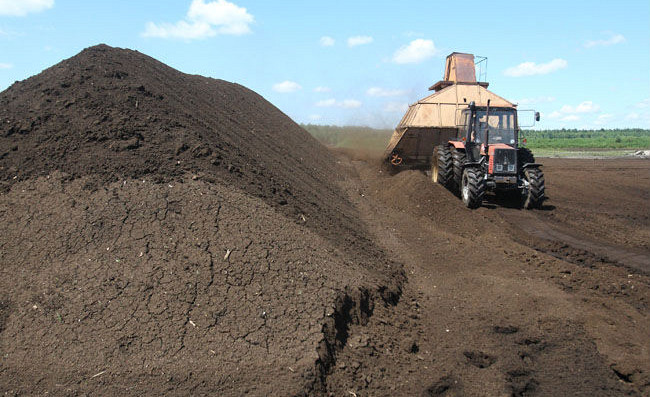 Госконтроль: никому в Латвии нет дела до полезных ископаемых