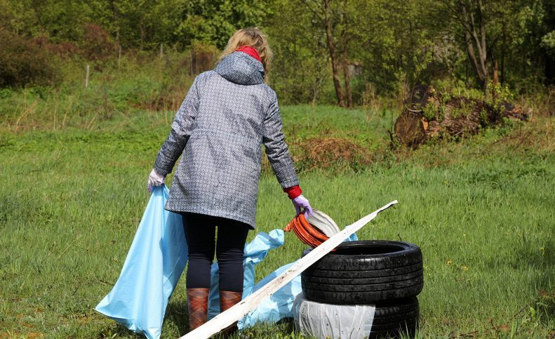 В лесах Латвии более 2600 загрязнённых мусором мест: призывают выходить на Большую толоку