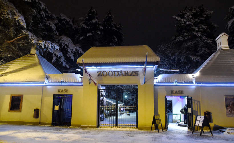 В Рижский зоопарк пришли «Зимние ночи»