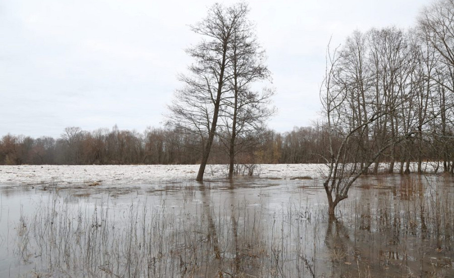 На востоке Латвии уровень воды в реках продолжит подниматься; объявлено желтое предупреждение